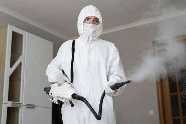 Mold Remediation for Rental Properties in Robersonville, NC